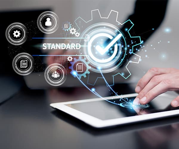 IT process